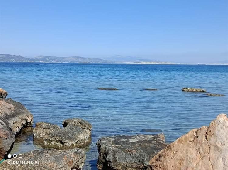Villa Velissarios: Wonderful Villa Next To Beach Aegina Exterior photo